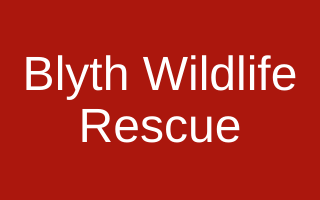 Blyth Wildlife Rescue